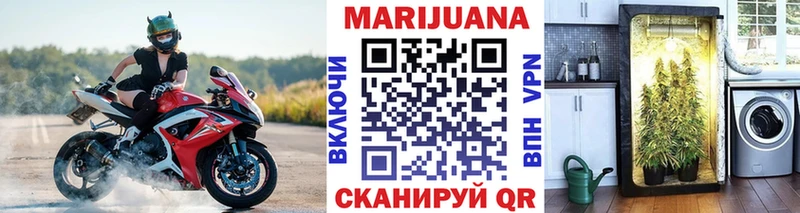 купить  цена  Альметьевск  Бошки Шишки гибрид 